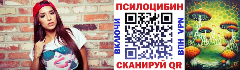 купить   Шацк  Псилоцибиновые грибы мухоморы 